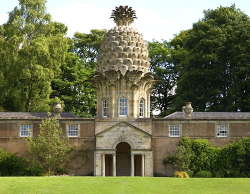 Drivhus med en kuppel i form av ananas