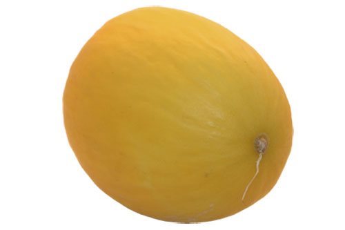 Melon nanas