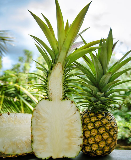Rang av ananas