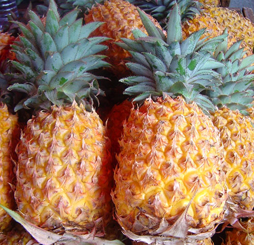 Grupp av ananasvaror 