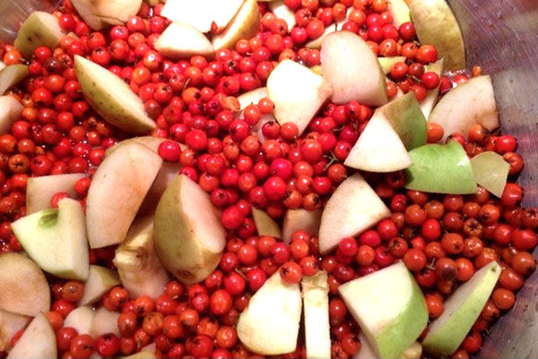 maçãs e cranberries para compota