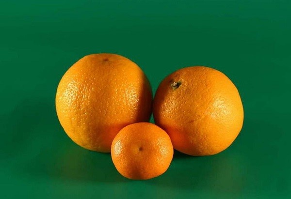naranče i mandarina
