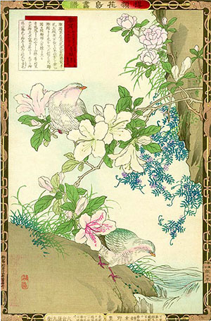 Japanske blomster azalea er dedikert til kvinnens sensuelle skjønnhet