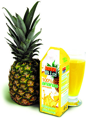 Meyve suyu hazırlanması için sadece olgun kaliteli ananaslar kullanılır.