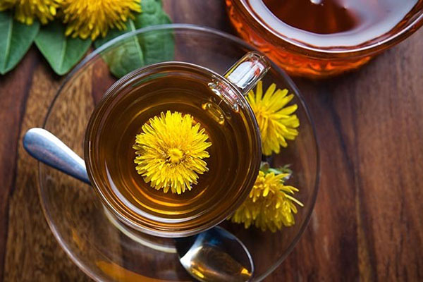 tedavi edici karahindiba çayı