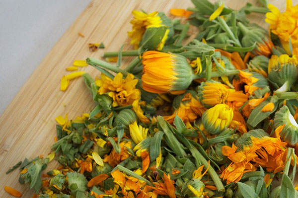 sejambak bunga marigold