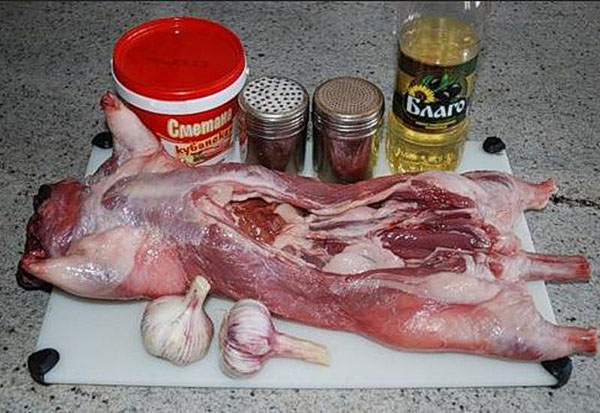 烹饪的海狸鼠