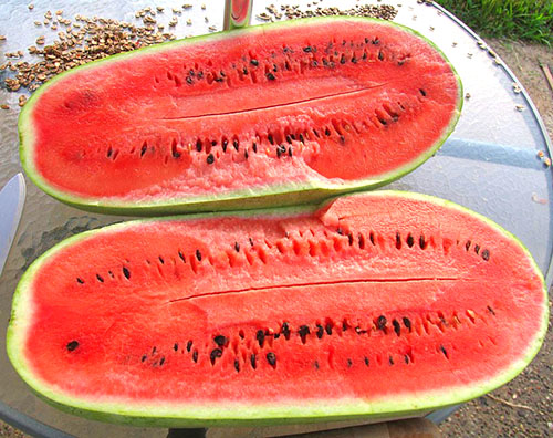 Gebruik watermeloenen in het seizoen van hun massale rijping