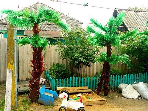 bir palmiye ağacının altında çocuk oyun alanı