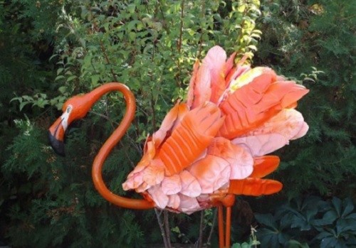 nuostabus flamingas