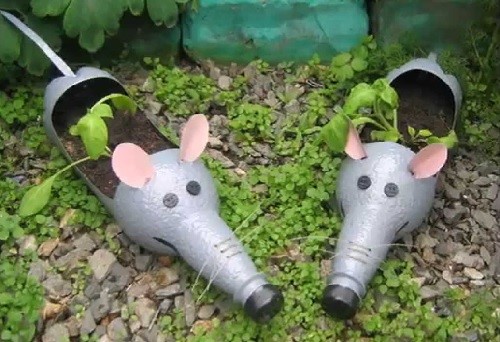 mus på gräsmattan