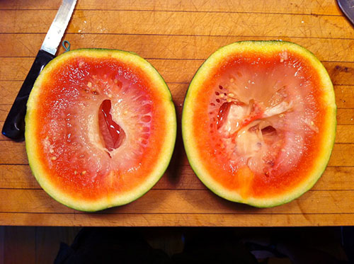 Watermeloen, gepompt met nitraten