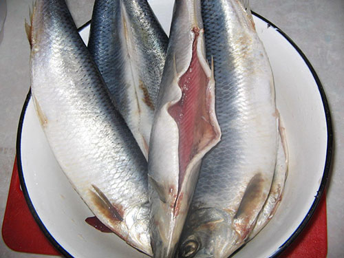 paruoškite žuvį už marinavimą
