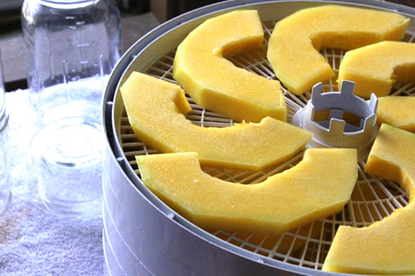 rozložte plátky melóna v sušičke