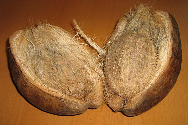 kokosova lupina