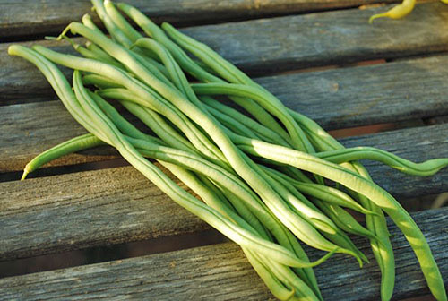 Fortes populære franske aspargesbønne
