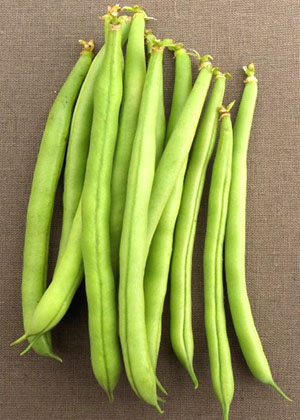 Asparagus Bean