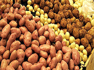 Batatas de diferentes variedades