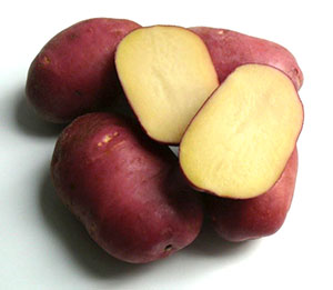 Potatis Rocco