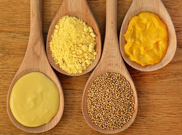 mustard mempunyai ciri-ciri berguna