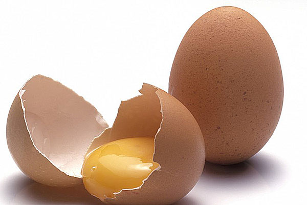 telur ayam segar