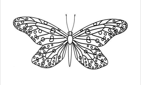 sommerfugl med en stor vingspenn