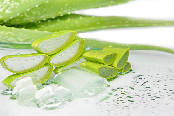 Aloe în fiole este utilizat în tratamentul miopiei, încețoșarea lentilei