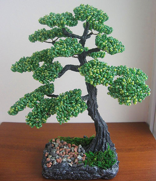 kerja pada bonsai telah selesai