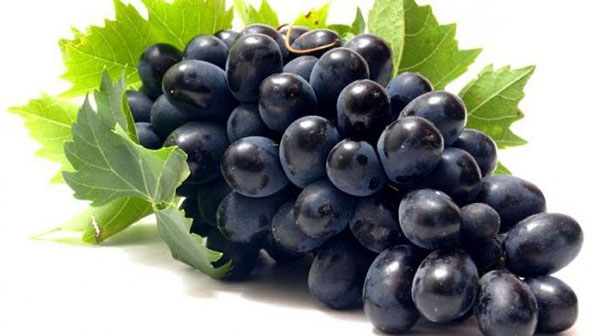 namizno grozdje
