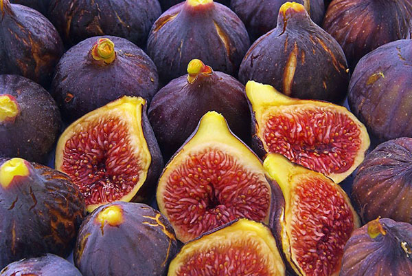 zrelých figových plodov