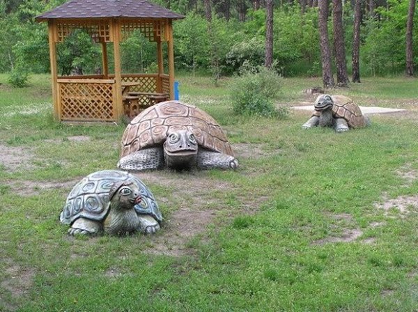 Schildpadden gemaakt van beton