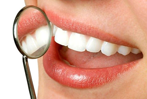 Problemos su dantimis padės išspręsti Kalanchoe