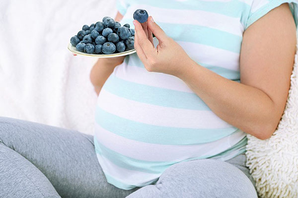 användning av blåbär under graviditeten