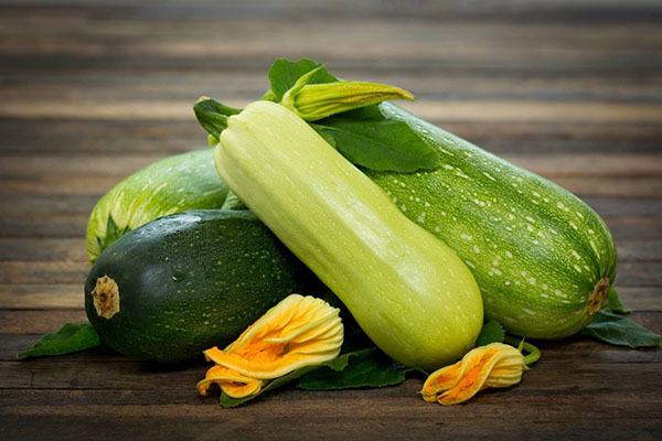 zucchini untuk pemeliharaan