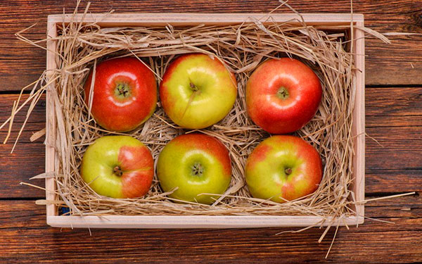 oppbevaring av epler