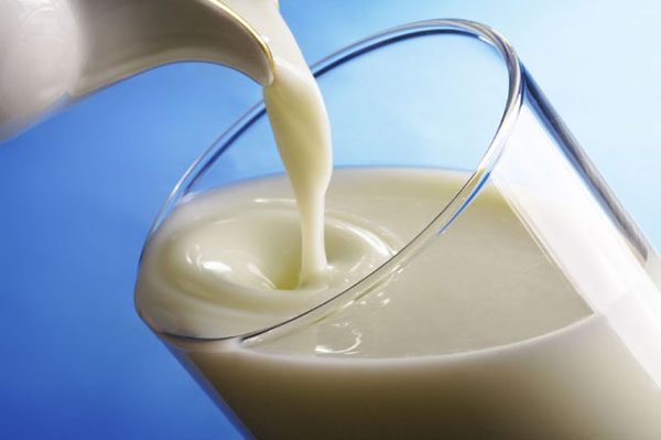 I en syk ku har melk et ubehagelig utseende og lukt