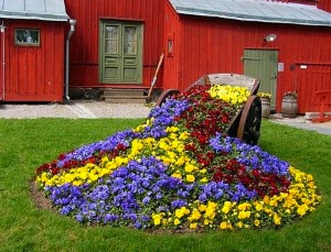 прелеп цветни кревет