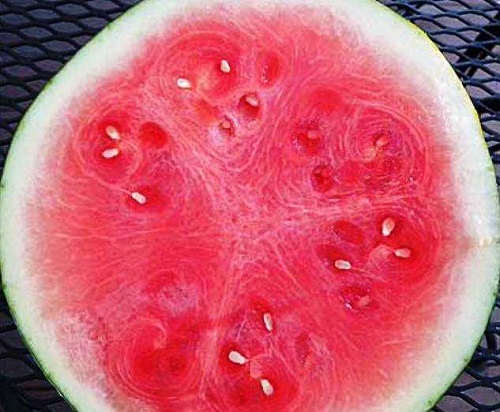 nitraat watermeloen