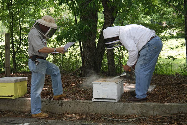 Hives controleren