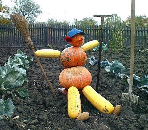 menggali taman sayuran