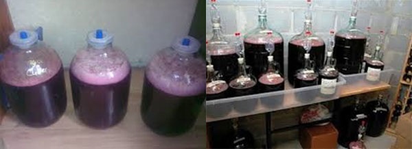 樱桃酒的发酵过程
