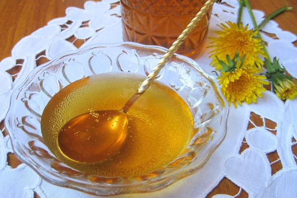 madu aromatik dari dandelions