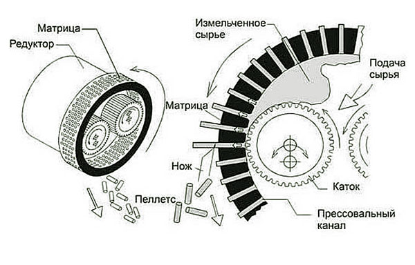 Matricea cilindrică a granulatorului
