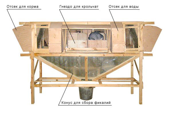 Celula industrială a lui Mikhailov pentru iepuri