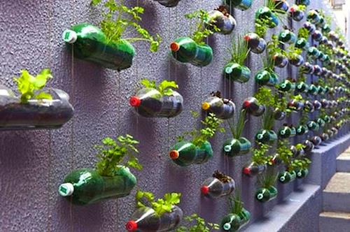 Canteiro vertical de garrafas plásticas