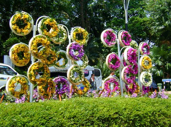 canteiros de flores verticais