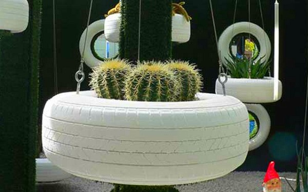 cactussen in het wiel
