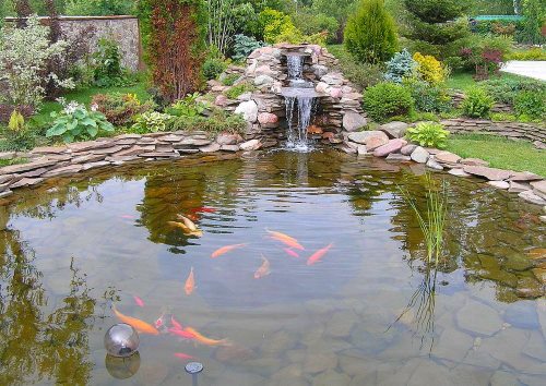 kamenný rybník s rybami