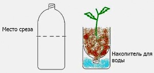 vertikálne kvetinové lôžko z plastových fliaš