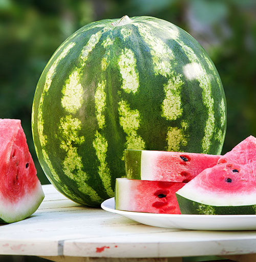 Vannmelon kan lagres i kjelleren ved optimal temperatur og fuktighet